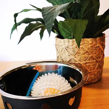 דירה Chez Soso *